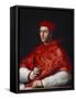 Portrait of Cardinal Bibbiena by Raphael-null-Framed Stretched Canvas