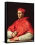 Portrait of Cardinal Dovizzi De Bibbiena (1470-1520)-Raphael-Framed Stretched Canvas