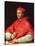 Portrait of Cardinal Dovizzi De Bibbiena (1470-1520)-Raphael-Stretched Canvas