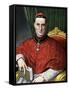 Portrait of Cardinal Mariano Rampolla (1843-1913) Illustration by Tancredi Scarpelli (1866-1937) Fr-Tancredi Scarpelli-Framed Stretched Canvas