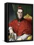 Portrait of Cardinal Mariano Rampolla (1843-1913) Illustration by Tancredi Scarpelli (1866-1937) Fr-Tancredi Scarpelli-Framed Stretched Canvas