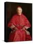 Portrait of Cardinal Newman-John Everett Millais-Stretched Canvas