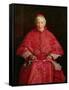 Portrait of Cardinal Newman-John Everett Millais-Framed Stretched Canvas