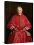 Portrait of Cardinal Newman-John Everett Millais-Stretched Canvas