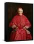 Portrait of Cardinal Newman-John Everett Millais-Framed Stretched Canvas