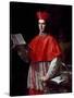 Portrait of Cardinal Pietro Ottoboni-null-Stretched Canvas