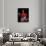 Portrait of Cardinal Pietro Ottoboni-null-Giclee Print displayed on a wall