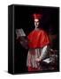 Portrait of Cardinal Pietro Ottoboni-null-Framed Stretched Canvas