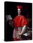 Portrait of Cardinal Pietro Ottoboni-null-Stretched Canvas