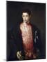 Portrait of Cardinal Ranuccio Farnese as a Boy-Titian (Tiziano Vecelli)-Mounted Giclee Print