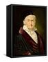 Portrait of Carl Friedrich Gauss, 1840-Christian-albrecht Jensen-Framed Stretched Canvas