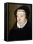 Portrait of Catherine de Medici-Francois Clouet-Framed Stretched Canvas