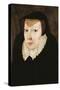 Portrait of Catherine De Medici-null-Stretched Canvas