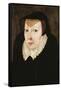 Portrait of Catherine De Medici-null-Framed Stretched Canvas