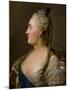 Portrait of Catherine II, 1763-Fjodor Rokotov-Mounted Giclee Print