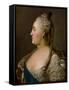 Portrait of Catherine II, 1763-Fjodor Rokotov-Framed Stretched Canvas