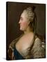 Portrait of Catherine II, 1763-Fjodor Rokotov-Stretched Canvas