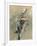 Portrait of Cellist Gaetano Braga, 1889-Giovanni Boldini-Framed Giclee Print