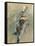 Portrait of Cellist Gaetano Braga, 1889-Giovanni Boldini-Framed Stretched Canvas