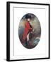 Portrait of Charles, 1st Marquis Cornwallis, 1782 (Pencil, Pastel and Bodycolour on Paper)-Daniel Gardner-Framed Giclee Print