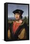 Portrait of Charles D'Amboise (1471-1511) Marshal of France-Antonio da Solario-Framed Stretched Canvas