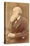 Portrait of Charles Darwin at Age 72, C.1871 (Albumen Print)-Oscar Gustav Rejlander-Stretched Canvas