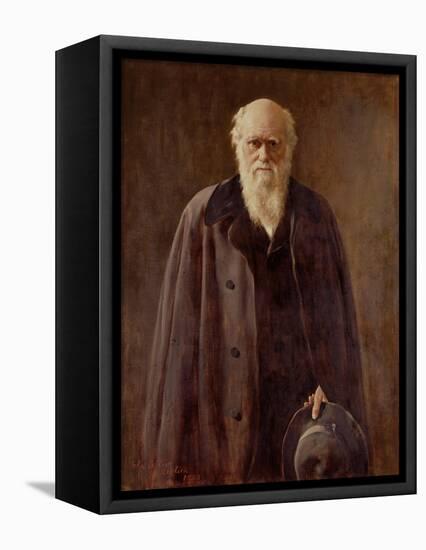 Portrait of Charles Darwin-John Collier-Framed Stretched Canvas