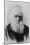 Portrait of Charles Darwin-null-Mounted Art Print