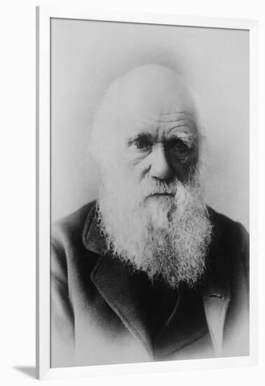 Portrait of Charles Darwin-null-Framed Art Print