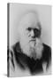 Portrait of Charles Darwin-null-Stretched Canvas