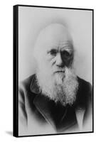 Portrait of Charles Darwin-null-Framed Stretched Canvas