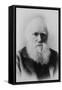 Portrait of Charles Darwin-null-Framed Stretched Canvas