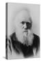 Portrait of Charles Darwin-null-Stretched Canvas