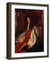 Portrait of Charles II (1630-85) C.1660-65-John Michael Wright-Framed Giclee Print