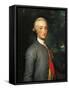 Portrait of Charles Iv of Bourbon, Prince of Asturias and the King of Spain-Anton Raphael Mengs-Framed Stretched Canvas