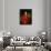 Portrait of Charles IV of Bourbon-null-Giclee Print displayed on a wall