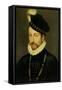 Portrait of Charles IX, King of France. Ca. 1570-Francois Clouet-Framed Stretched Canvas