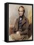 Portrait of Charles Robert Darwin-null-Framed Stretched Canvas