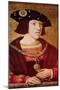 Portrait of Charles V (1500-1558)-Bernard van Orley-Mounted Giclee Print