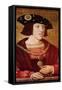 Portrait of Charles V (1500-1558)-Bernard van Orley-Framed Stretched Canvas