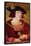 Portrait of Charles V (1500-1558)-Bernard van Orley-Framed Stretched Canvas