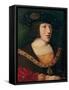 Portrait of Charles V (1500-58), at the Age of About Sixteen, 1516-Bernard van Orley-Framed Stretched Canvas