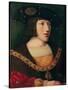 Portrait of Charles V (1500-58), at the Age of About Sixteen, 1516-Bernard van Orley-Stretched Canvas