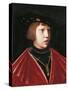 Portrait of Charles V as Child-null-Stretched Canvas
