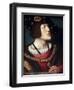 Portrait of Charles V, Holy Roman Emperor-Bernard Van orley-Framed Giclee Print