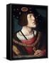 Portrait of Charles V, Holy Roman Emperor-Bernard Van orley-Framed Stretched Canvas