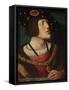 Portrait of Charles V of Spain (1500-155), 1519-Bernaert Van Orley-Framed Stretched Canvas