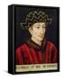 Portrait of Charles VII (1403-61) King of France-French School-Framed Stretched Canvas