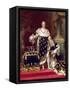 Portrait of Charles X-Paulin Jean Baptiste Guerin-Framed Stretched Canvas