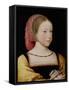 Portrait of Charlotte of France, C.1522-Jean Clouet-Framed Stretched Canvas